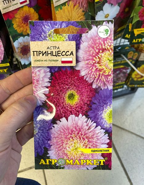 астра Принцесса смесь